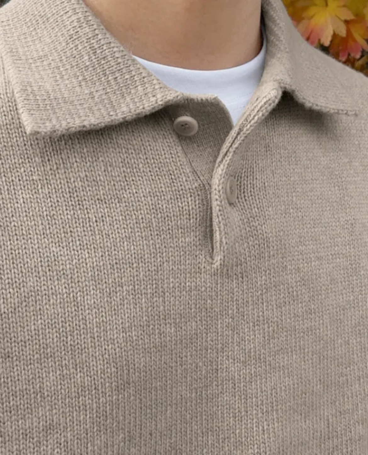 The Arveilo Button Polo Sweater